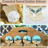 Sand Dollar Set of 12 Real Sand Dollars 2 1/2" to 3" Sand Dollar Shells
