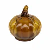 Scented Candle in Pumpkin Cloche by Ashland®