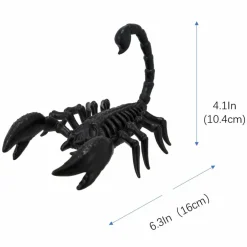 6.3" Scorpion Skeleton by Ashland®