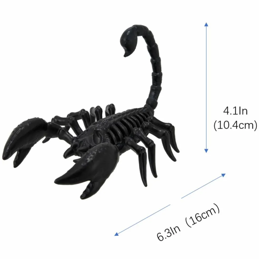 6.3" Scorpion Skeleton by Ashland®