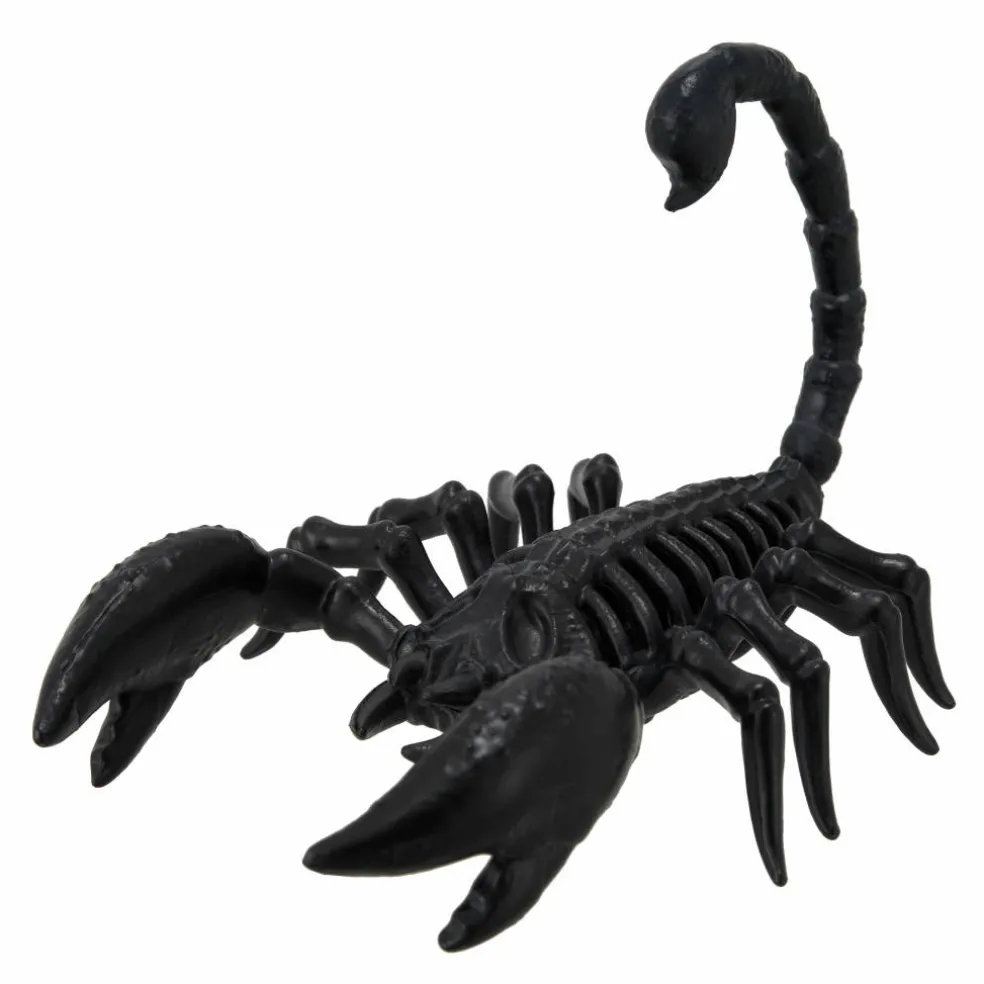 6.3" Scorpion Skeleton by Ashland®