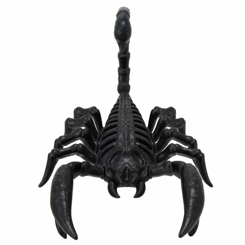 6.3" Scorpion Skeleton by Ashland®