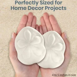 Sea Biscuits Large Real Sea Biscuits 4 to 5 inches Set of 2 Sand Sea Biscuits