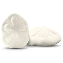 Sea Biscuits Large Real Sea Biscuits 4 to 5 inches Set of 2 Sand Sea Biscuits