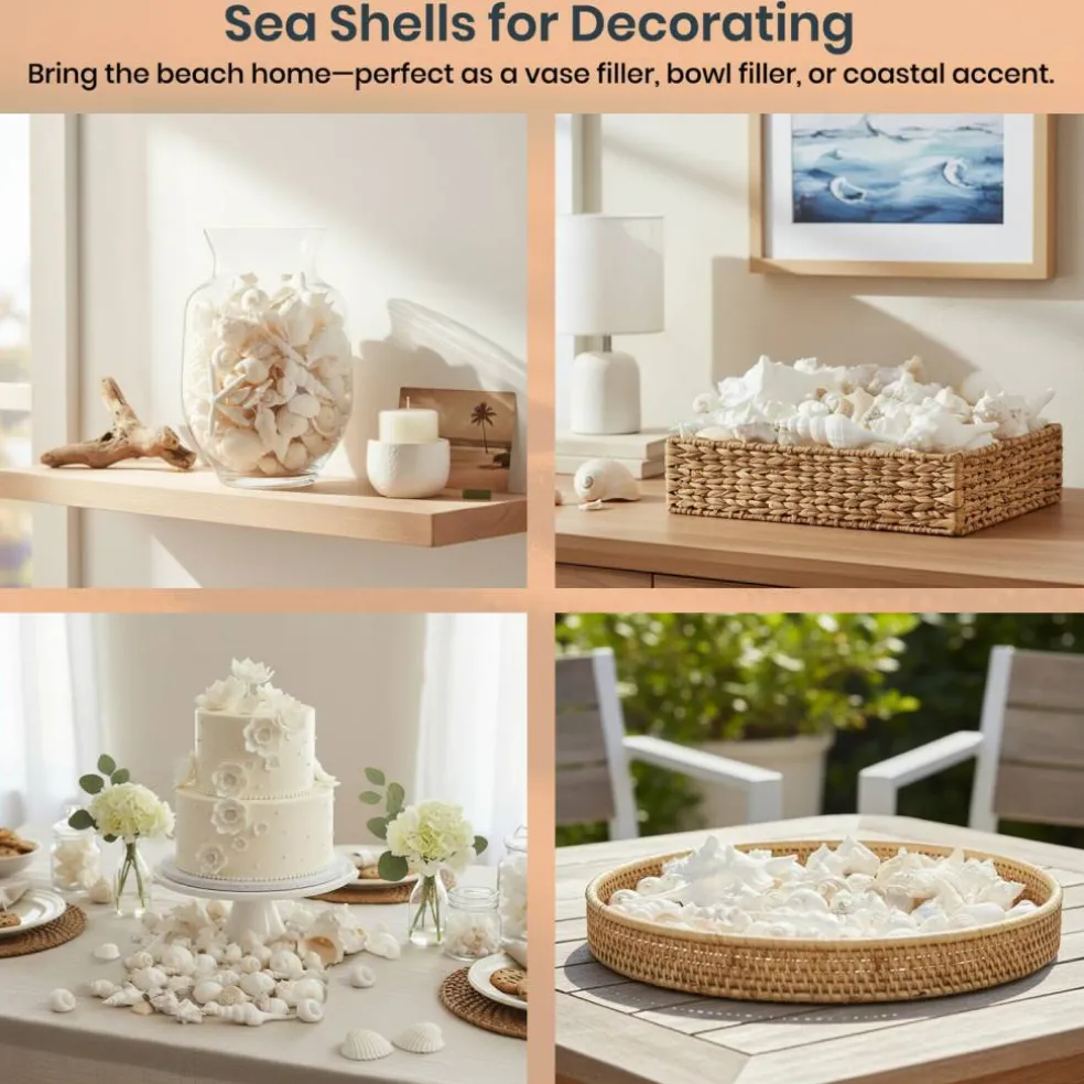 Seashell Mix 2 Pounds of White Decorative Seashell Mix for Crafts and Decor