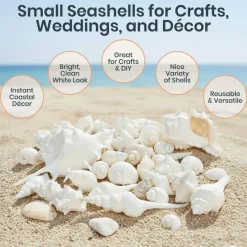 Seashell Mix 2 Pounds of White Decorative Seashell Mix for Crafts and Decor