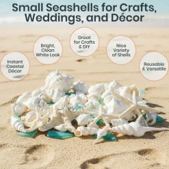 Sea Shells Real Mixed Beach Seashells with Real Starfish & Caribbean Blue Sea Glass White Decorative Seashell Décor & Blue Seaglass Pieces Sea Shells Bulk 1 Pack
