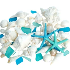 Sea Shells - White Real Mixed Beach Seashells (1lb) with Starfish & Sea Glass - Shells for Crafts - Ocean Decor - Beach Party Decorations - Seashell Decor - Large Shells Crafts