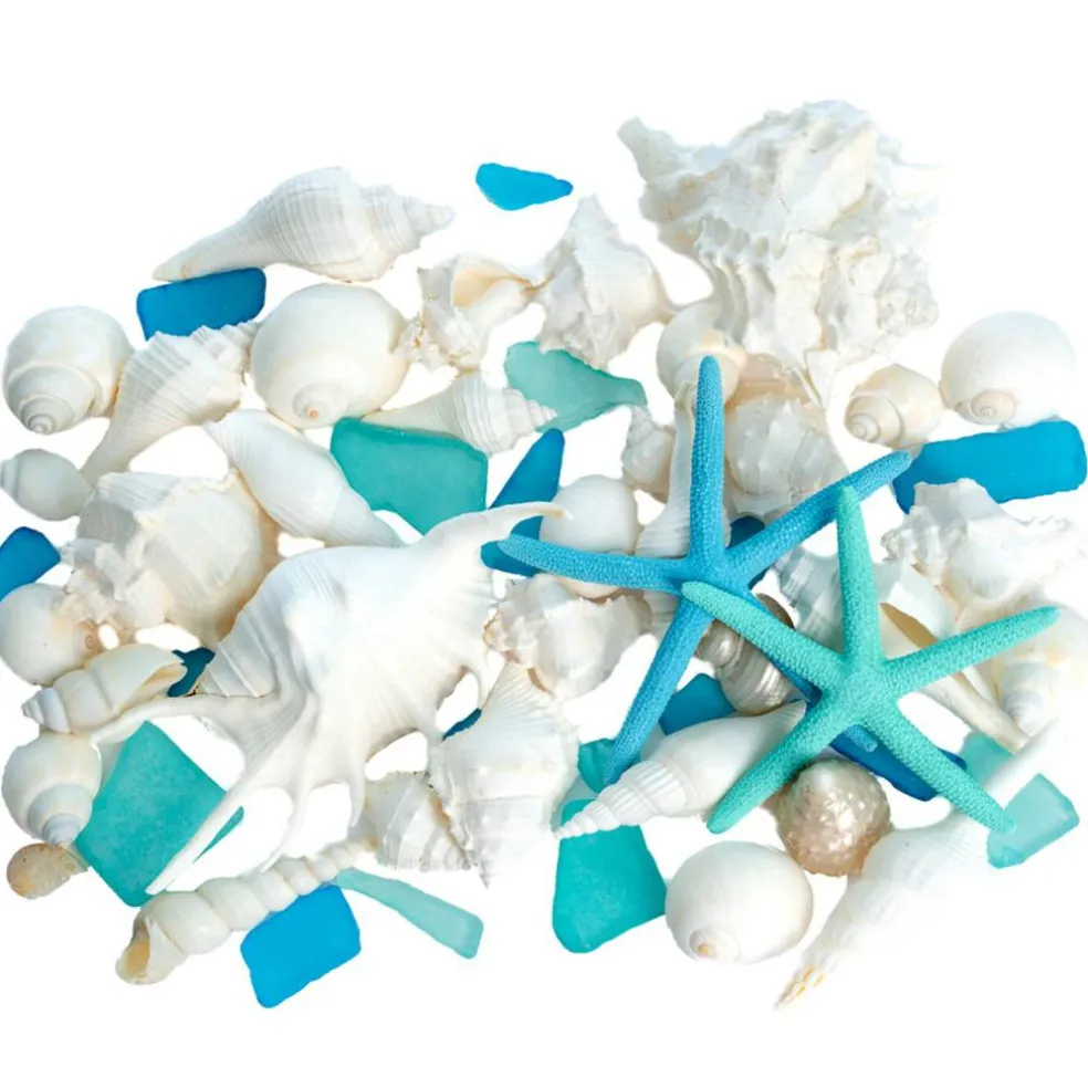 Sea Shells - White Real Mixed Beach Seashells (1lb) with Starfish & Sea Glass - Shells for Crafts - Ocean Decor - Beach Party Decorations - Seashell Decor - Large Shells Crafts