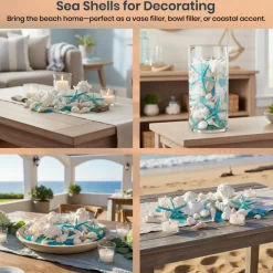 Sea Shells - White Real Mixed Beach Seashells (1lb) with Starfish & Sea Glass - Shells for Crafts - Ocean Decor - Beach Party Decorations - Seashell Decor - Large Shells Crafts