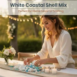 Sea Shells - White Real Mixed Beach Seashells (1lb) with Starfish & Sea Glass - Shells for Crafts - Ocean Decor - Beach Party Decorations - Seashell Decor - Large Shells Crafts