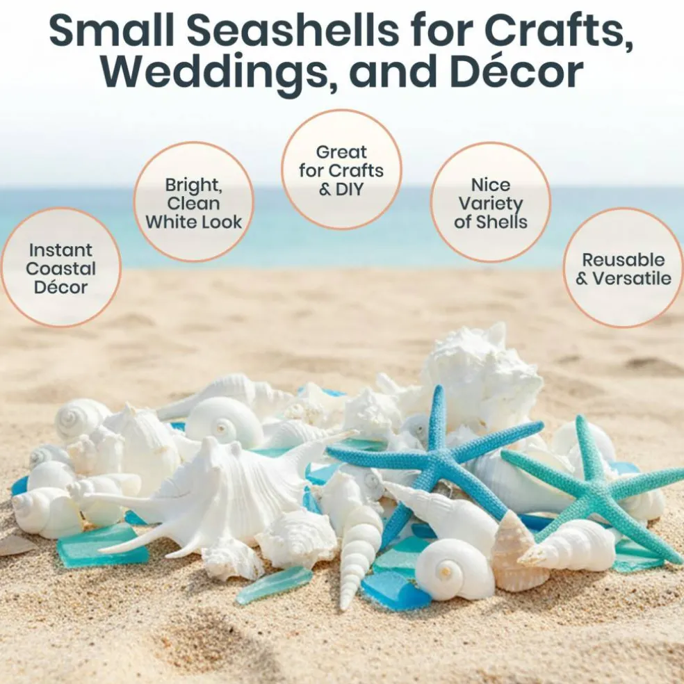 Sea Shells - White Real Mixed Beach Seashells (1lb) with Starfish & Sea Glass - Shells for Crafts - Ocean Decor - Beach Party Decorations - Seashell Decor - Large Shells Crafts
