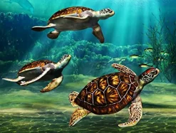 3 Sea Turtles Edible Cake Topper