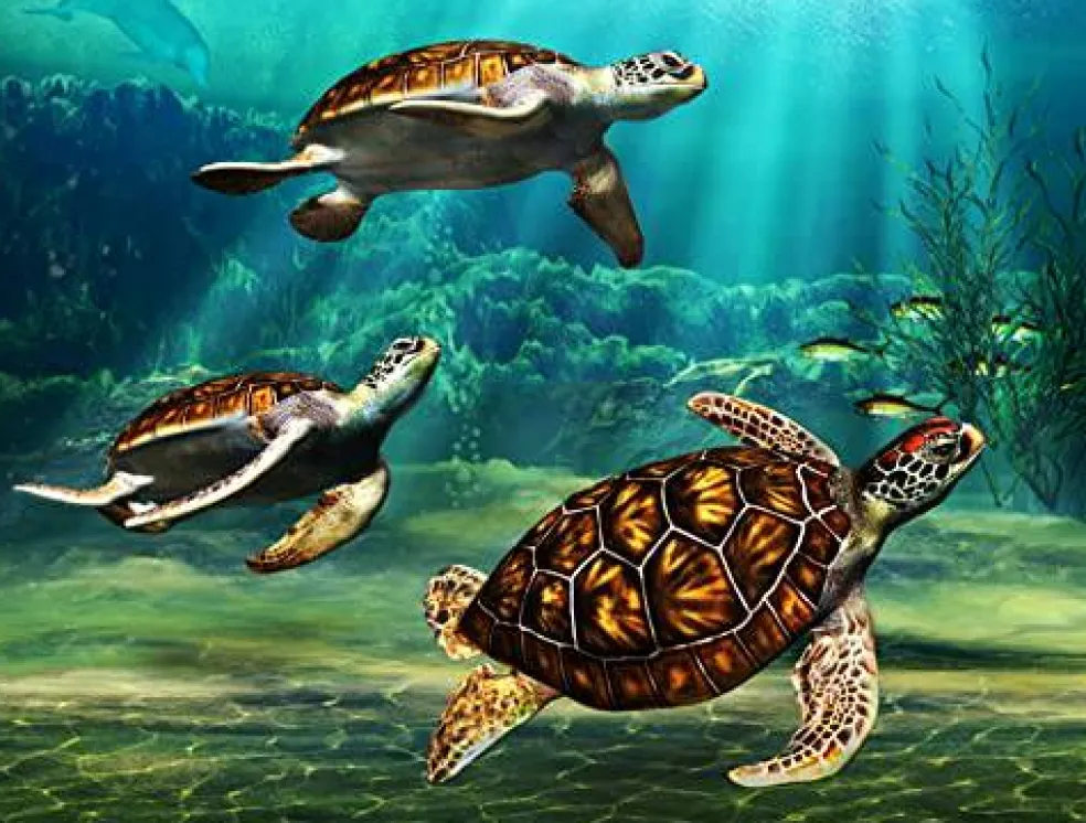 3 Sea Turtles Edible Cake Topper