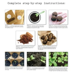 Seed Ball Kit - DIY Easter Egg Radish Seed Blend