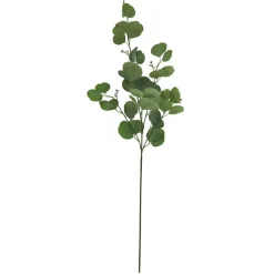 36" Seeded Eucalyptus Stem by Ashland®