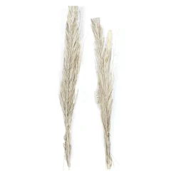 Set of 2