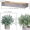 Set of 3 Mini Artificial Eucalyptus & Rosemary Plants in Wooden Planter