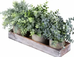 Set of 3 Mini Artificial Eucalyptus & Rosemary Plants in Wooden Planter