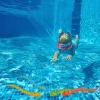 Set of 4 Vibrantly Colored Fun Moray Eel Diving Point Sticks Swimming Pool Toys 10''