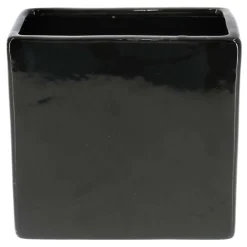 5.5
