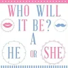 1/4 Sheet - Gender Reveal Baby Shower He or She- Edible Icing Image