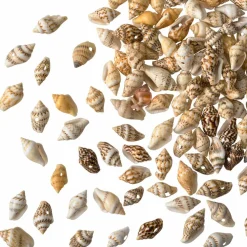 Shell Beads by Bead Landingâ„¢
