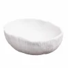10.8" Shell Decorative Bowl by Ashland®
