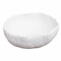 10.8" Shell Decorative Bowl by Ashland®
