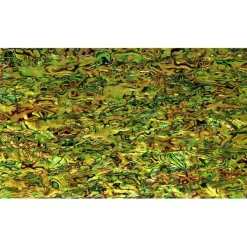 Shell Veneer, 5.5 x 9.5 inches | WMOP, BMOP, Abalone | Includes 3M Adhesive Sheet for Application, Great for Inlay Projects