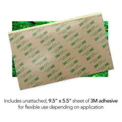 Shell Veneer, 5.5 x 9.5 inches | WMOP, BMOP, Abalone | Includes 3M Adhesive Sheet for Application, Great for Inlay Projects