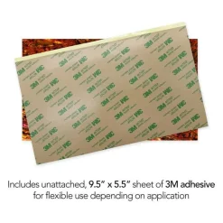 Shell Veneer, 5.5 x 9.5 inches | WMOP, BMOP, Abalone | Includes 3M Adhesive Sheet for Application, Great for Inlay Projects
