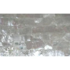 Shell Veneer, 5.5 x 9.5 inches | WMOP, BMOP, Abalone | Includes 3M Adhesive Sheet for Application, Great for Inlay Projects