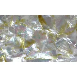 Shell Veneer, 5.5 x 9.5 inches | WMOP, BMOP, Abalone | Includes 3M Adhesive Sheet for Application, Great for Inlay Projects