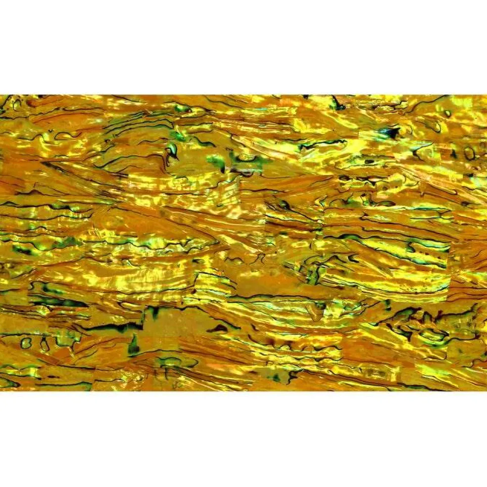 Shell Veneer, 5.5 x 9.5 inches | WMOP, BMOP, Abalone | Includes 3M Adhesive Sheet for Application, Great for Inlay Projects