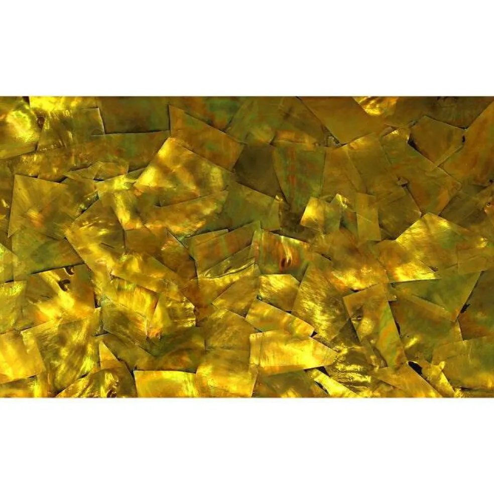 Shell Veneer, 5.5 x 9.5 inches | WMOP, BMOP, Abalone | Includes 3M Adhesive Sheet for Application, Great for Inlay Projects