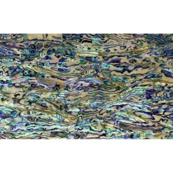 Shell Veneer, 5.5 x 9.5 inches | WMOP, BMOP, Abalone | Includes 3M Adhesive Sheet for Application, Great for Inlay Projects