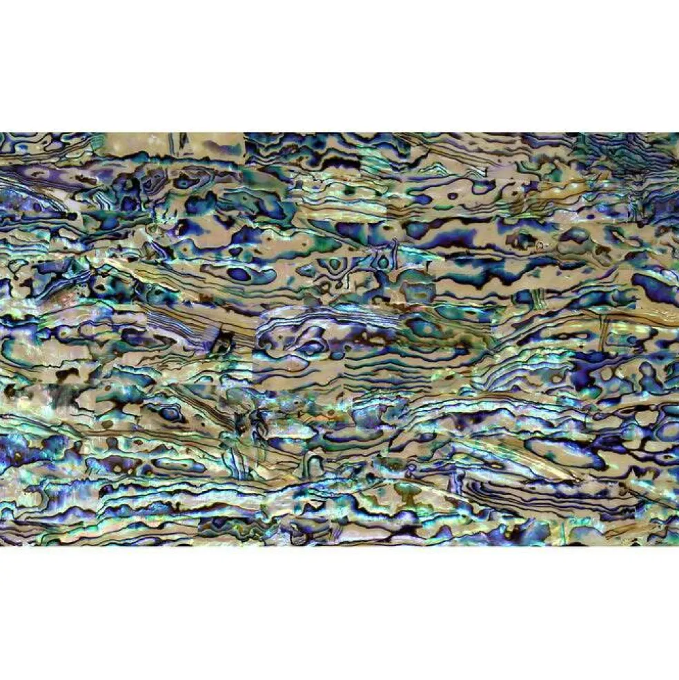 Shell Veneer, 5.5 x 9.5 inches | WMOP, BMOP, Abalone | Includes 3M Adhesive Sheet for Application, Great for Inlay Projects