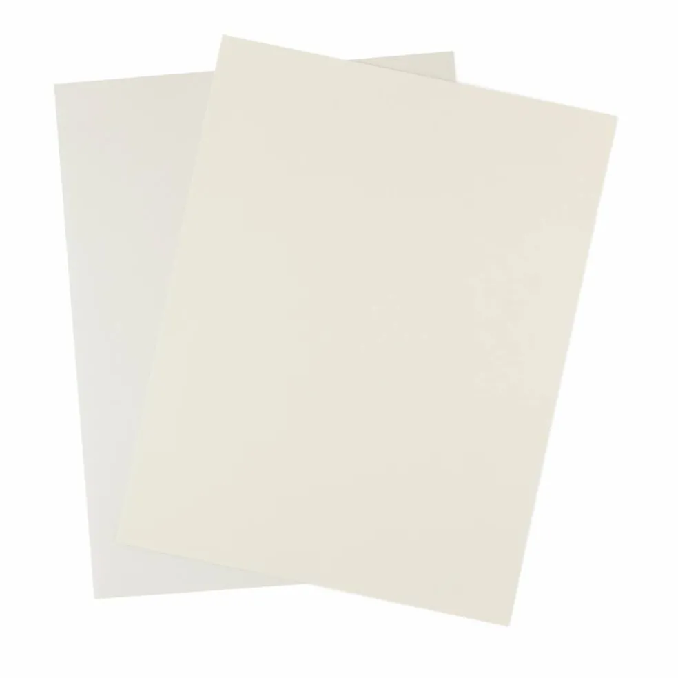 Shimmer Silver & Champagne 8.5" x 11" Cardstock Paper by Recollections®, 100 Sheets