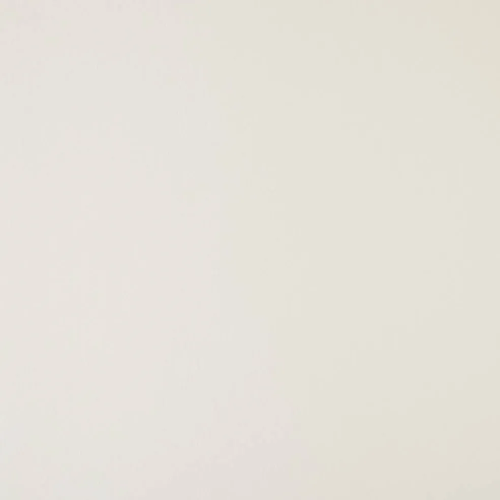 Shimmer Silver & Champagne 8.5" x 11" Cardstock Paper by Recollections®, 100 Sheets