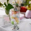 12 Silver and Clear 7" tall Mini Jars with Lids