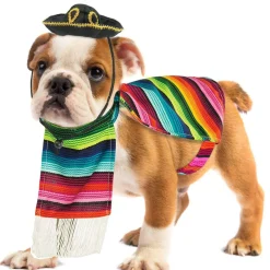 Skeleteen Mexican Serape Dog Costume - Cinco de Mayo Poncho and Sombrero Costumes for Pets