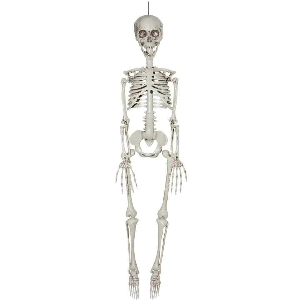 35" Skeleton by Ashland®