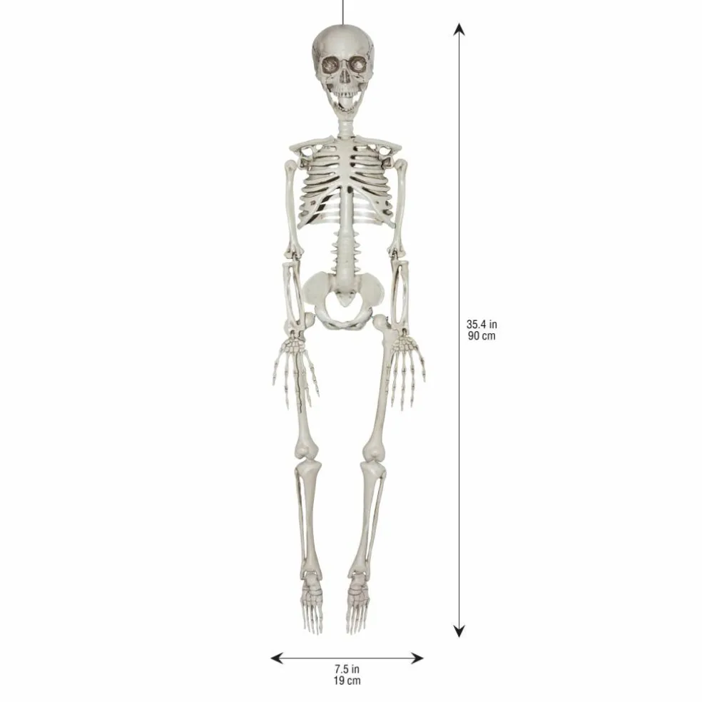 35" Skeleton by Ashland®