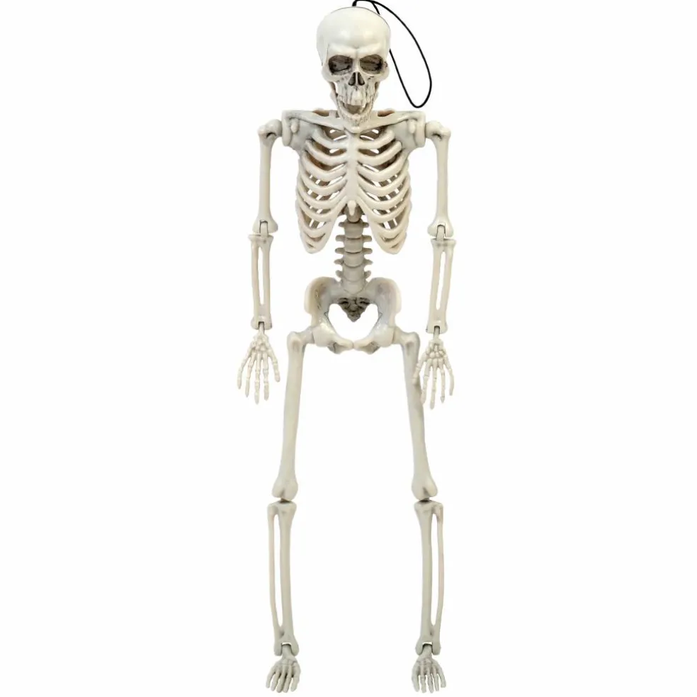 14" Skeleton by Ashland®