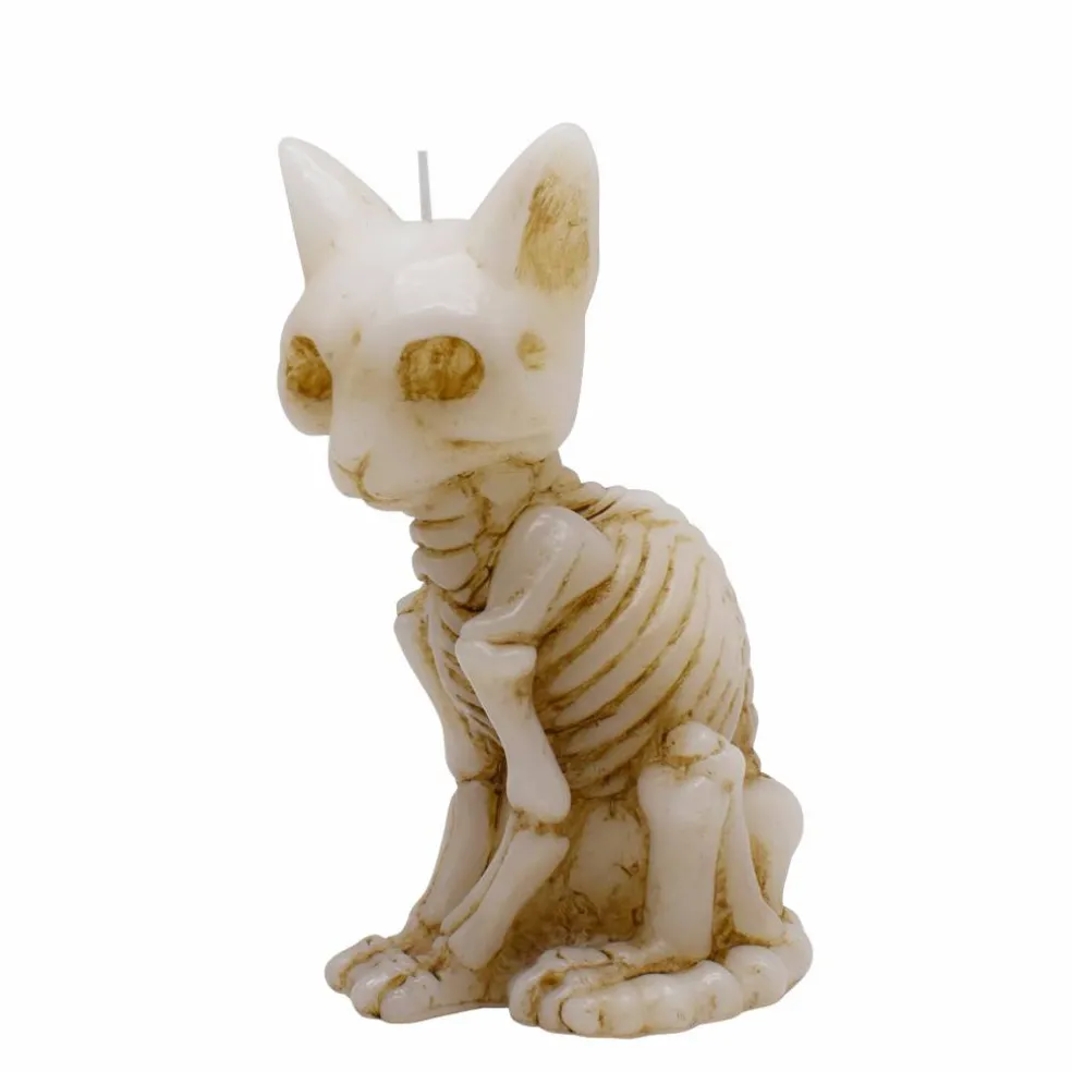 6.25" Skeleton Cat Unscented Candle by Ashland®