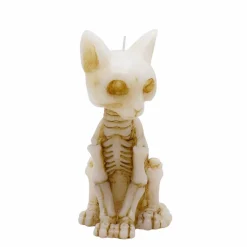 6.25" Skeleton Cat Unscented Candle by Ashland®