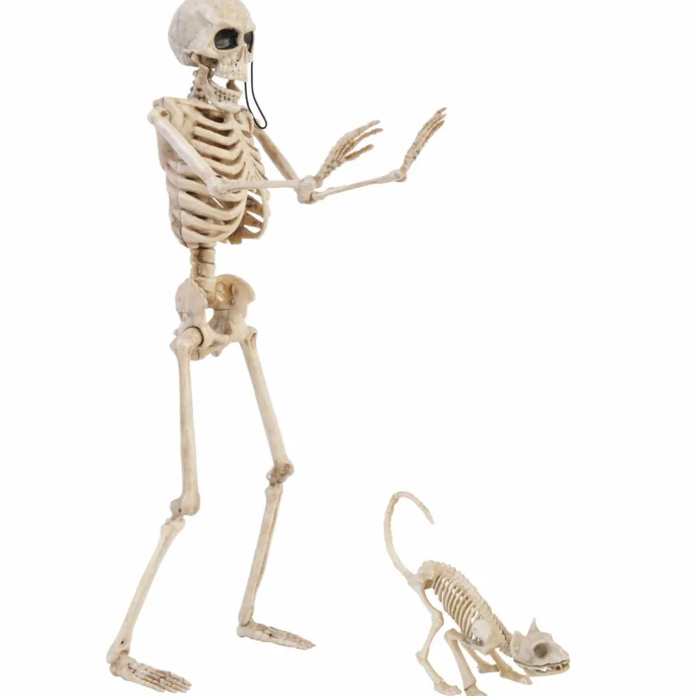 Skeleton Cat Walker by Ashland®