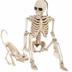 Skeleton Cat Walker by Ashland®