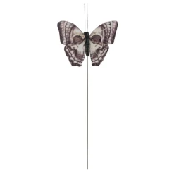 Skull Feather Butterfly, 3ct. by AshlandĀ®
